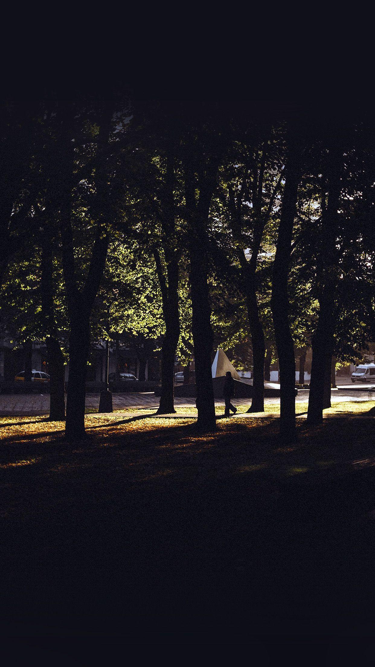 Dark Tree Wallpapers Wallpaper Cave