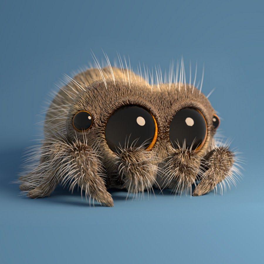 Lucas The Spider Wallpapers Wallpaper Cave