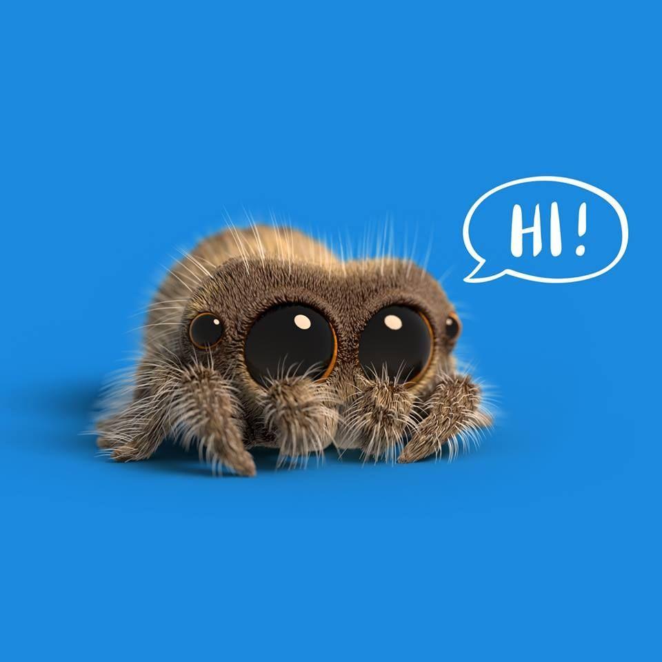 Lucas The Spider Wallpapers Wallpaper Cave