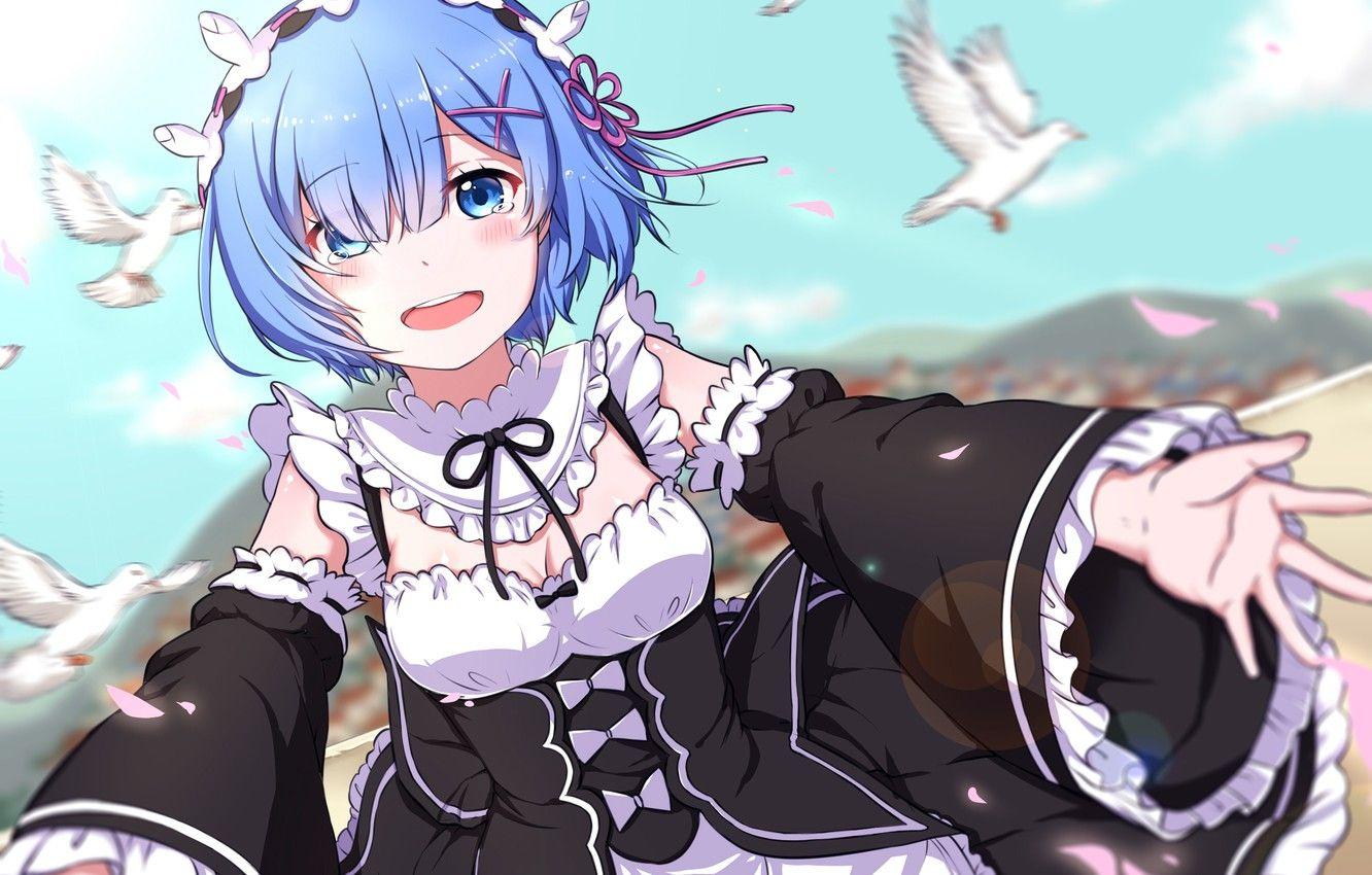 Rem ReZero Wallpapers Wallpaper Cave
