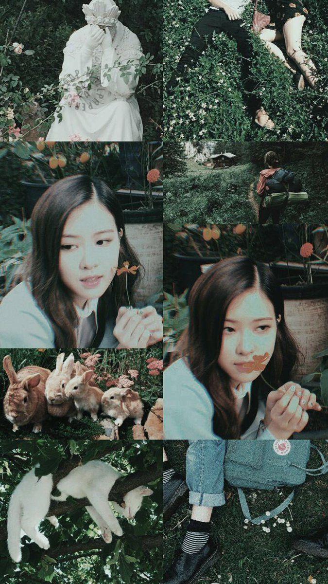 Blackpink Aesthetic Wallpapers Wallpaper Cave