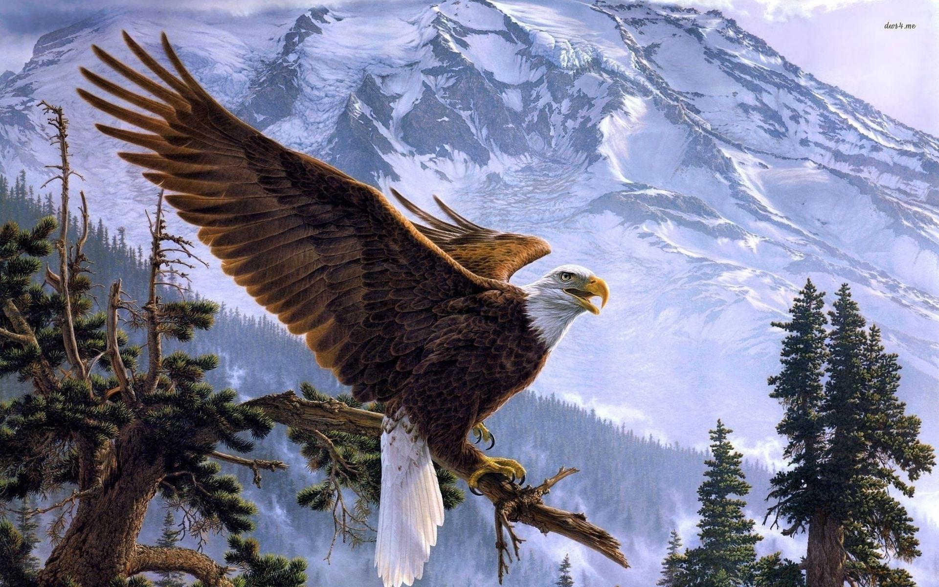 Bald Eagles Wallpapers Wallpaper Cave