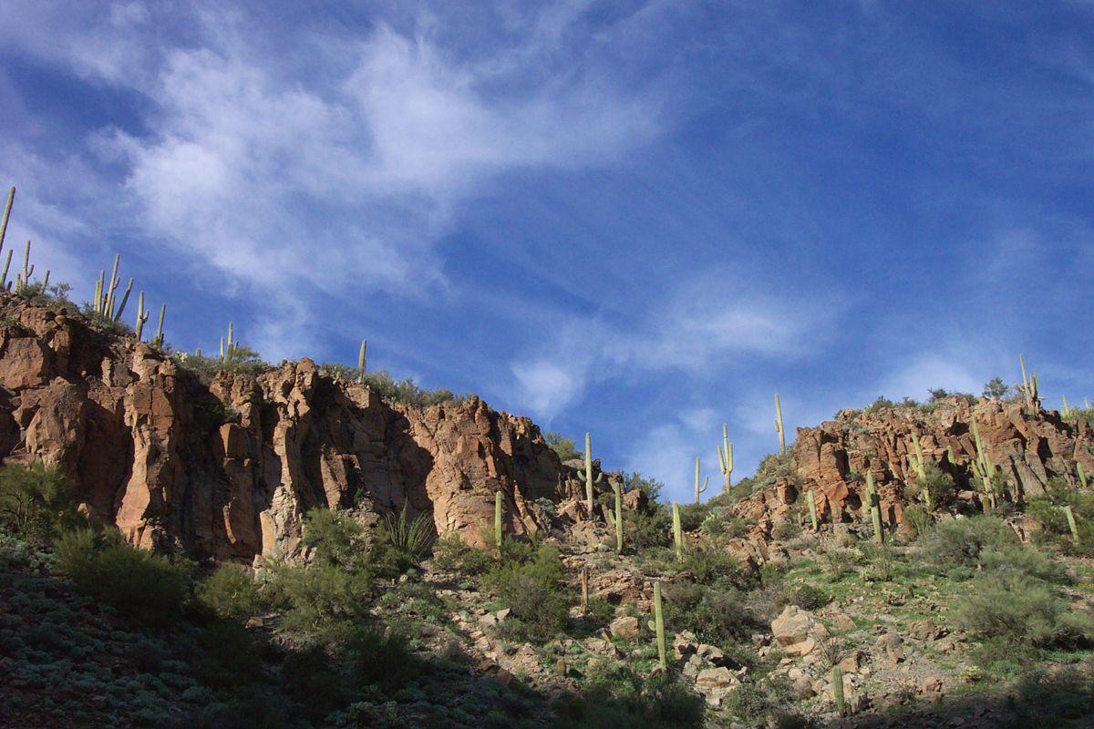 Phoenix AZ Wallpapers Wallpaper Cave