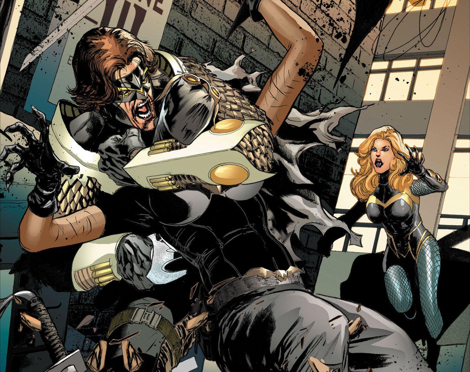 Birds Of Prey DC Wallpapers Wallpaper Cave