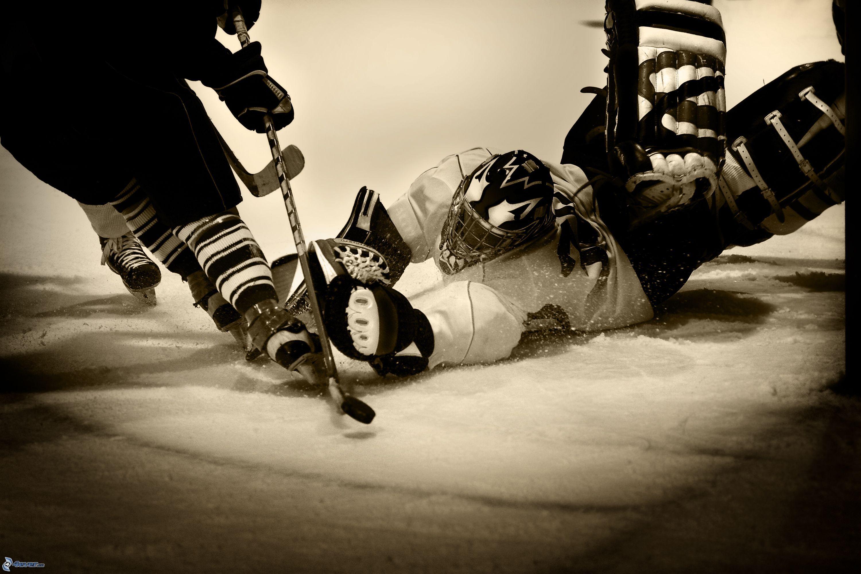 Hockey Goalie Wallpapers Wallpaper Cave