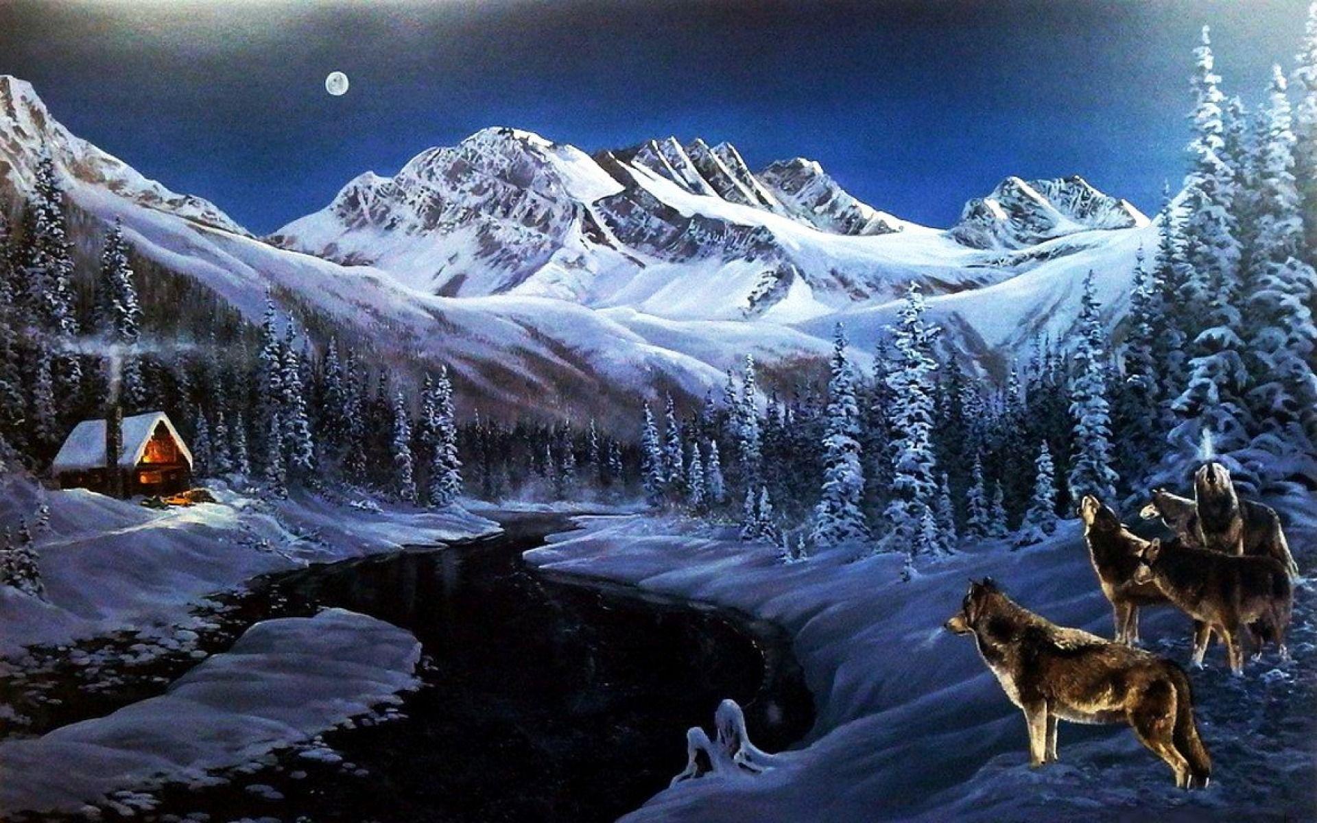 Wolf In Mountain Wallpapers Wallpaper Cave