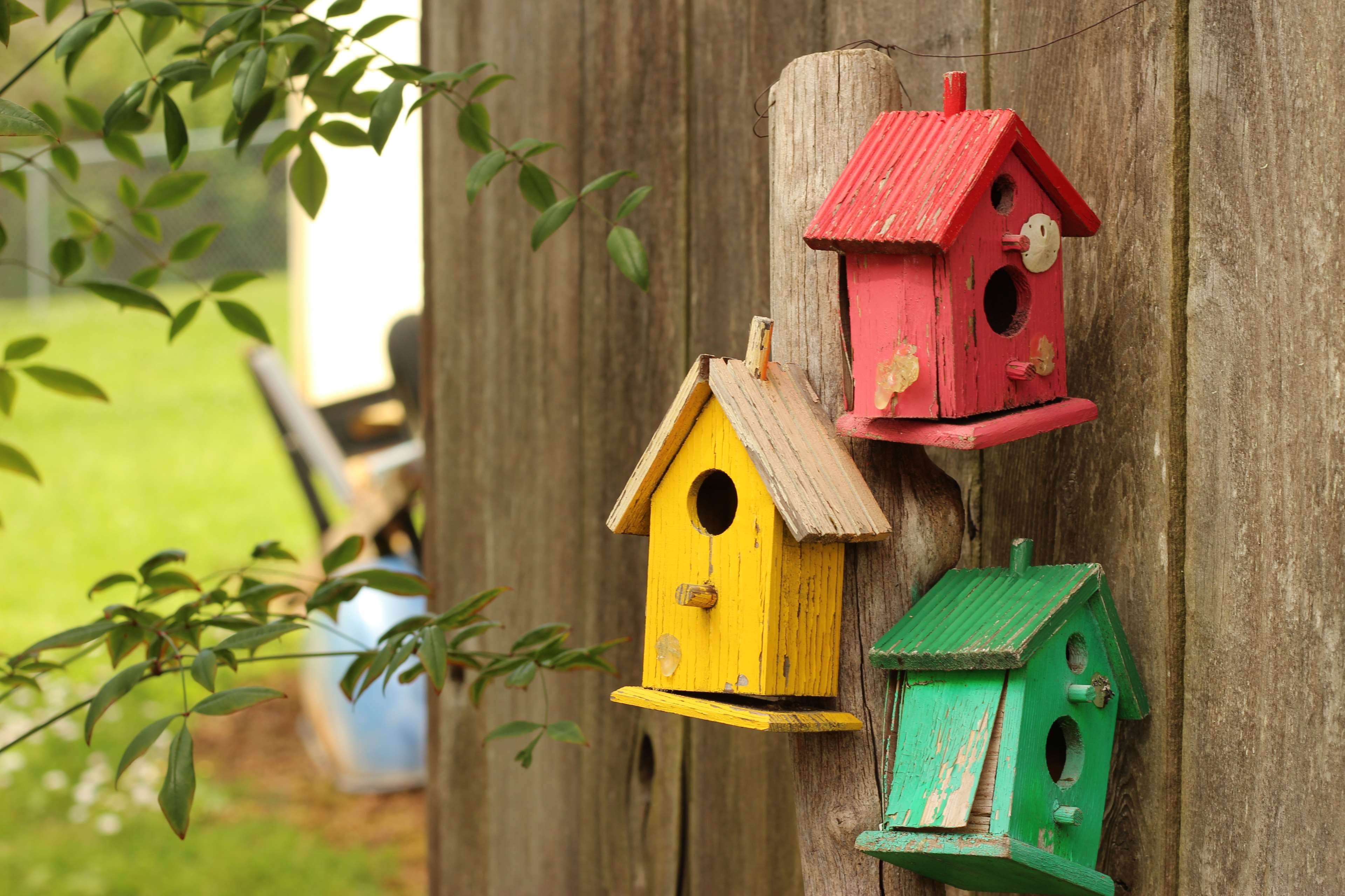 Birdhouse Wallpapers Wallpaper Cave