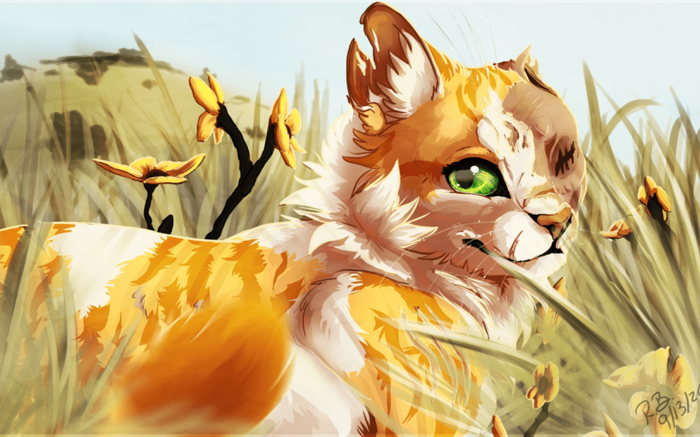 Warrior Cats Untold Tales Wallpapers Wallpaper Cave