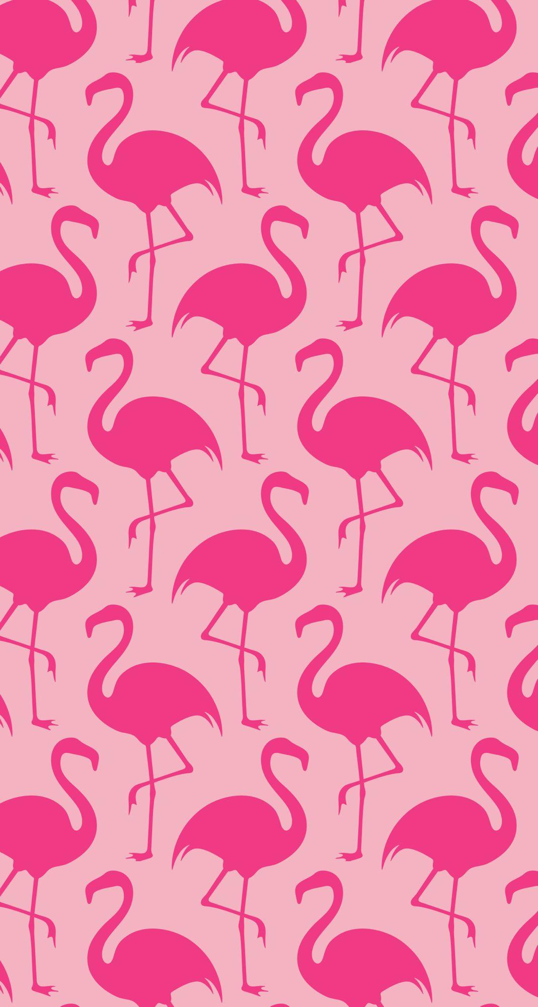 Flamingo Pink Wallpapers Wallpaper Cave