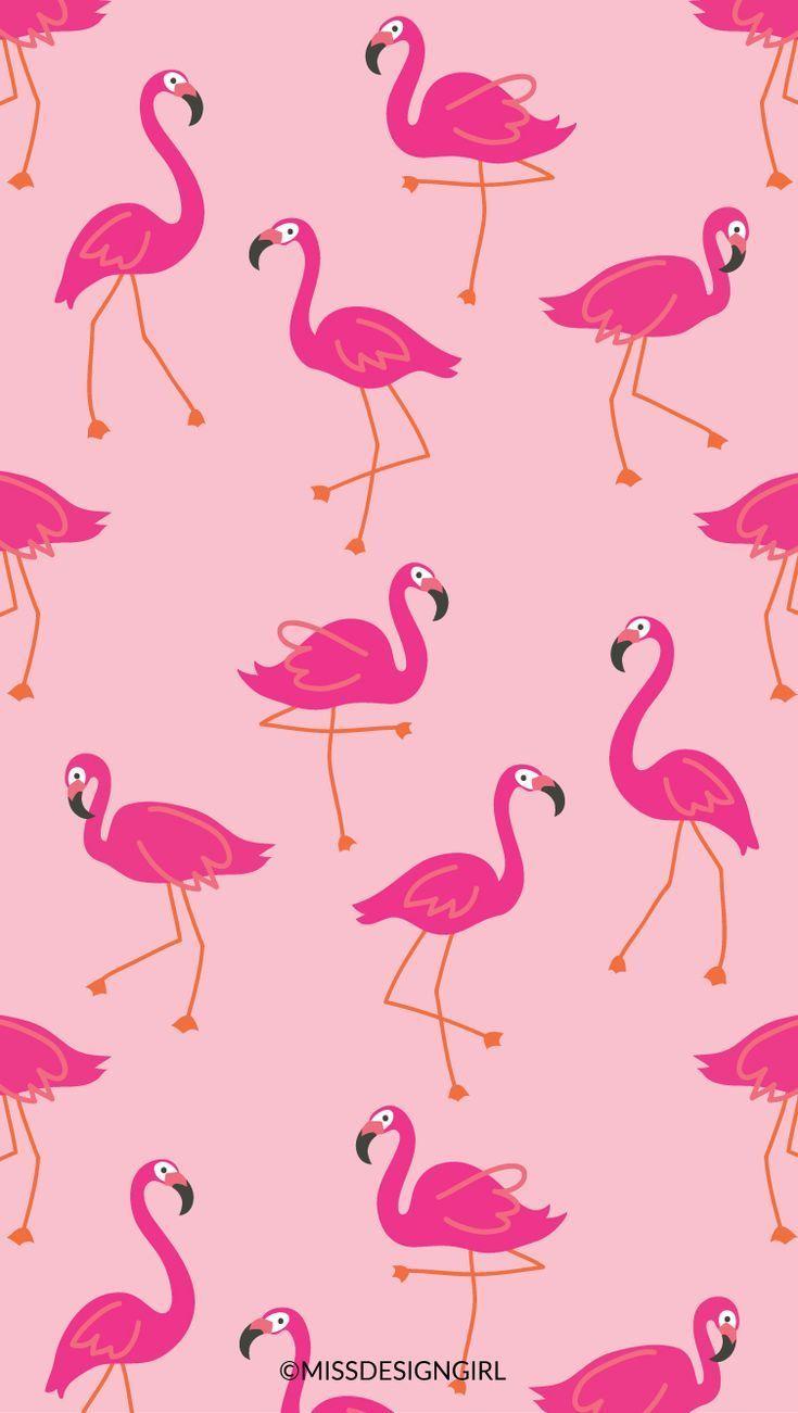 Flamingo Pink Wallpapers Wallpaper Cave