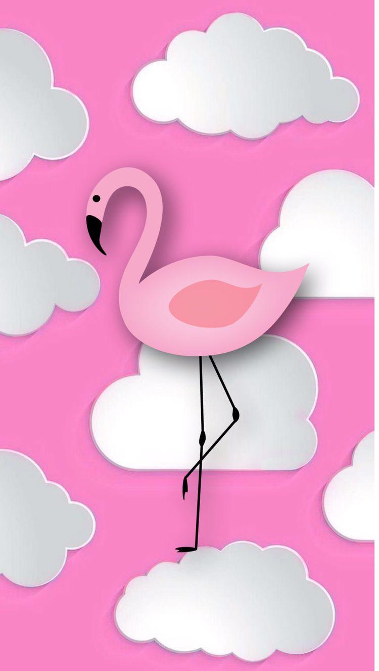 Flamingo Pink Wallpapers Wallpaper Cave