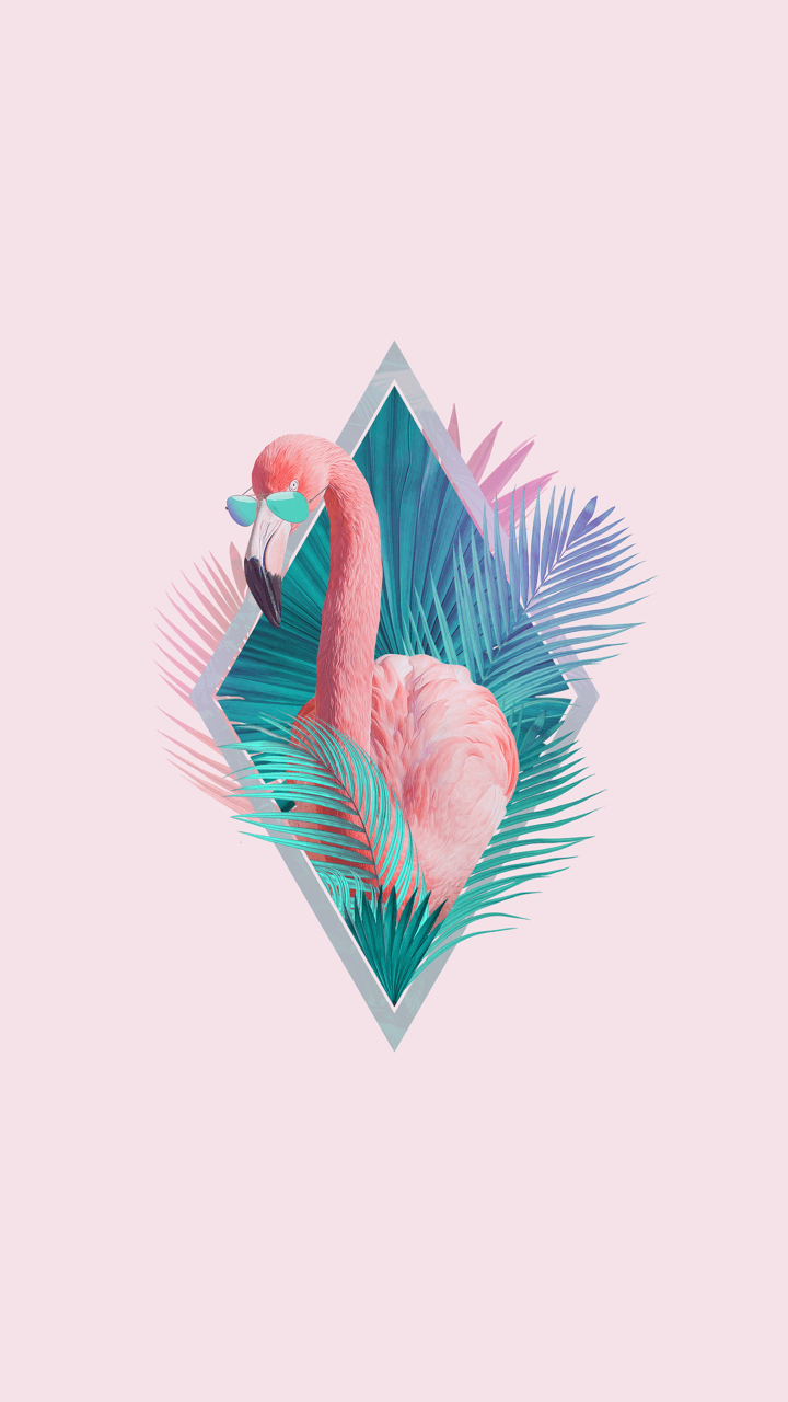 Flamingo Pink Wallpapers Wallpaper Cave