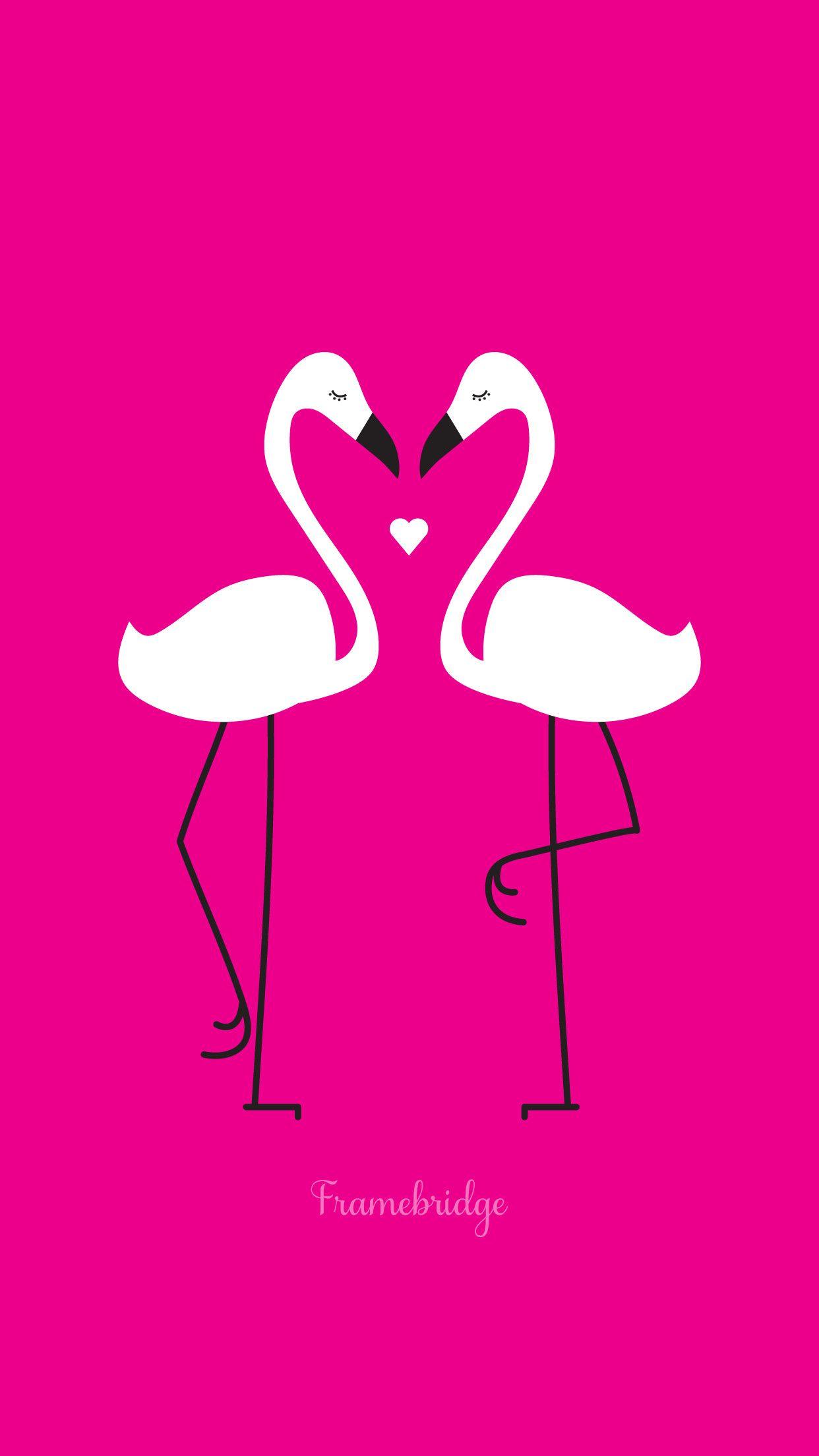 Flamingo Pink Wallpapers Wallpaper Cave