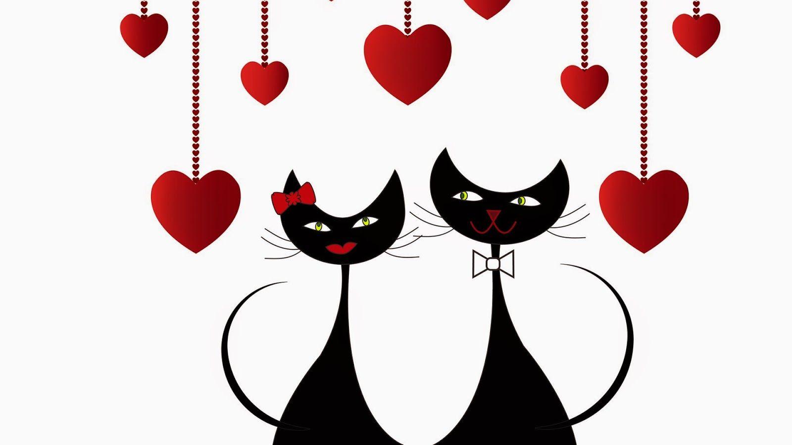 Valentine Cats Wallpapers Wallpaper Cave
