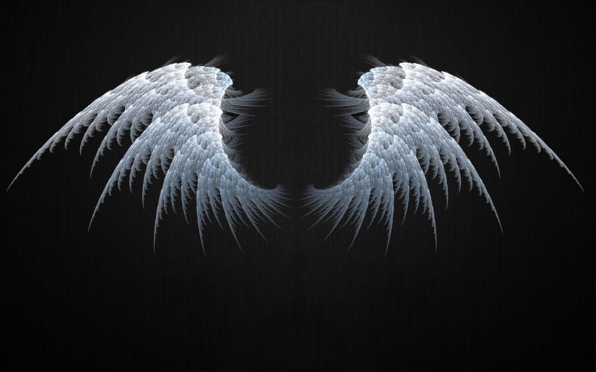 Wings Wallpapers Wallpaper Cave