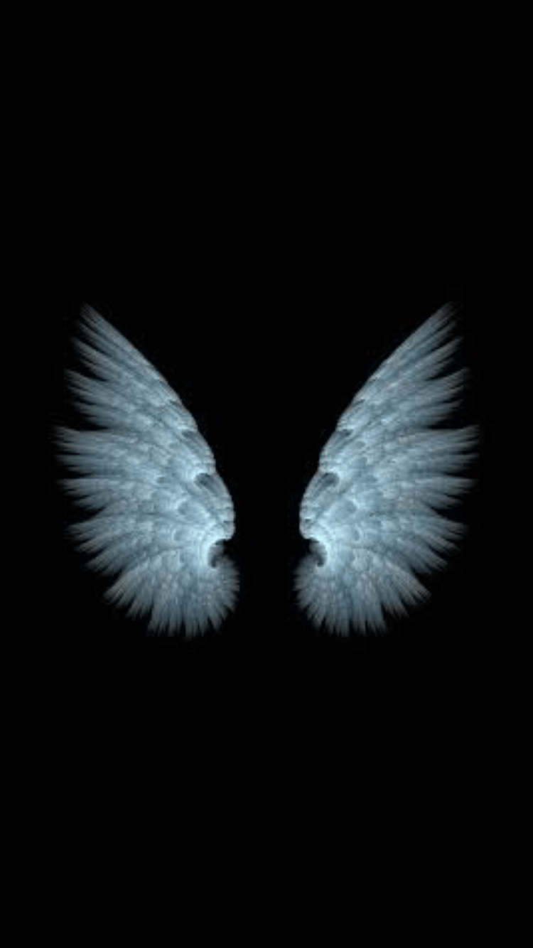 Wings Wallpapers Wallpaper Cave