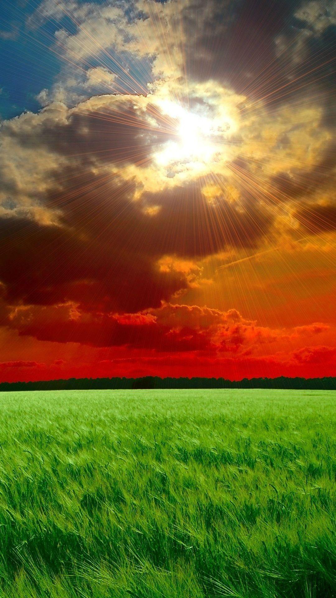 Portrait Nature Wallpapers Wallpaper Cave