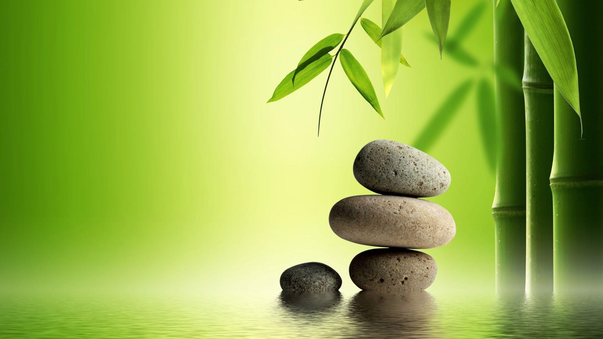 Bamboo Wallpapers Wallpaper Cave