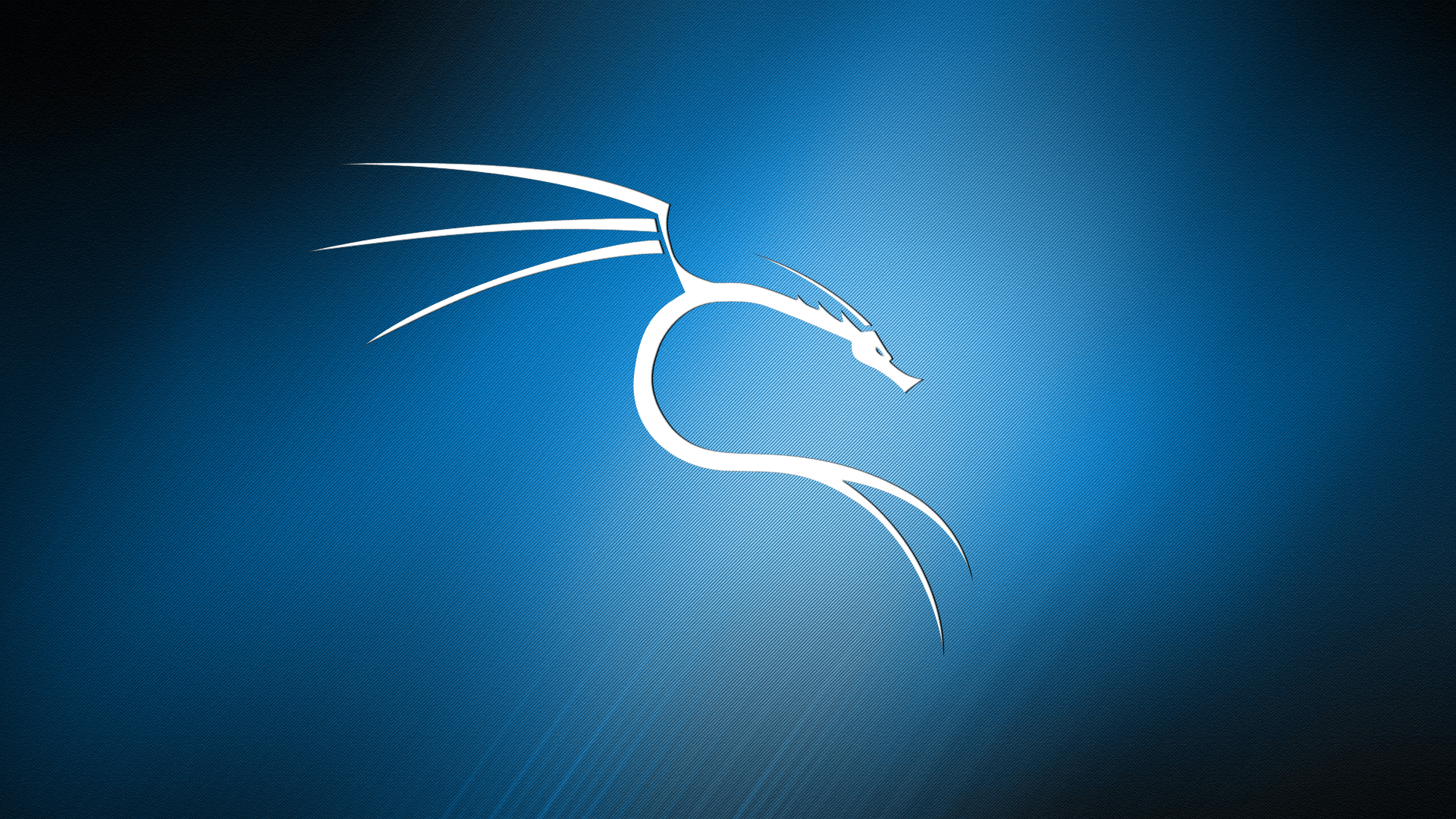 Kali Linux Android Wallpapers Wallpaper Cave