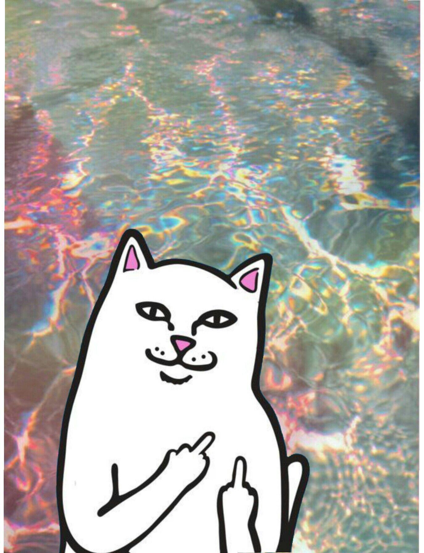 RIPNDIP Wallpapers Wallpaper Cave