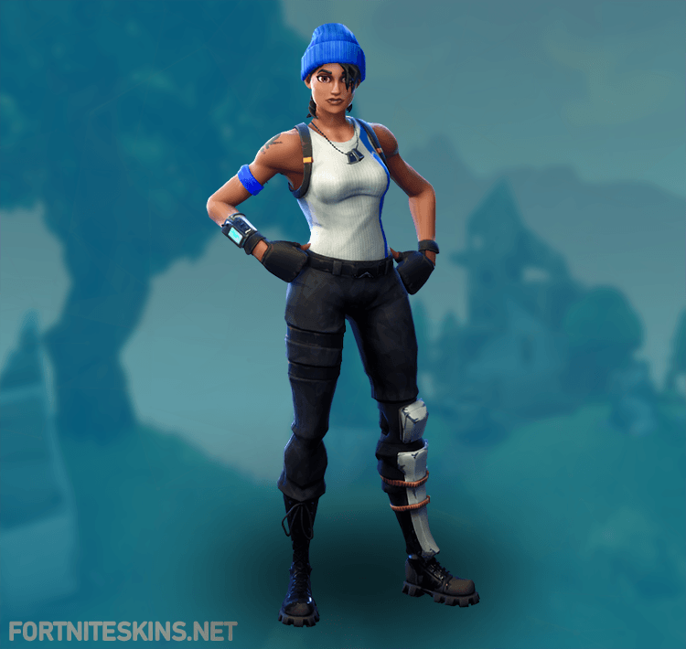 Blue Team Leader Fortnite Wallpapers Wallpaper Cave