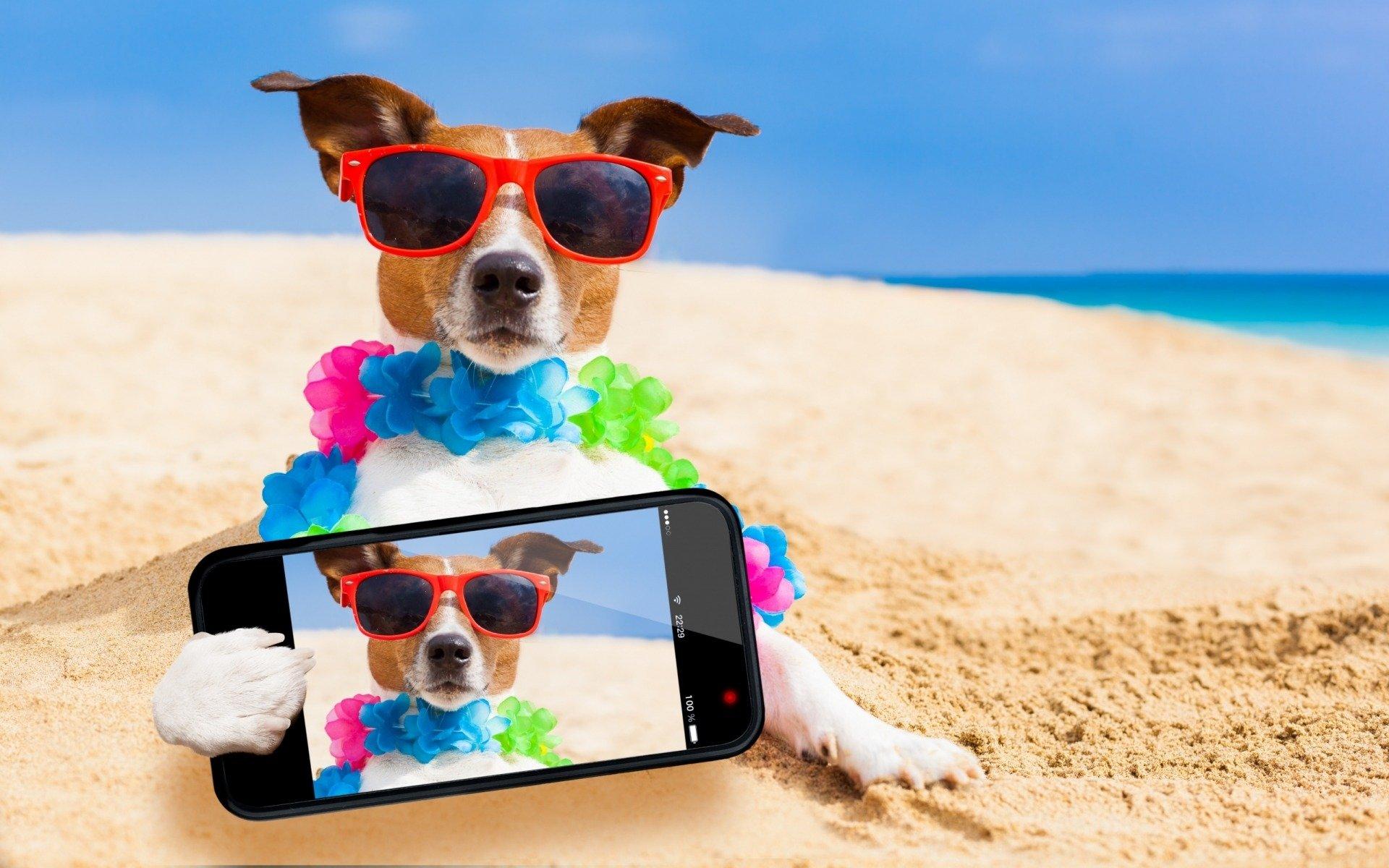 Selfie Wallpapers Wallpaper Cave