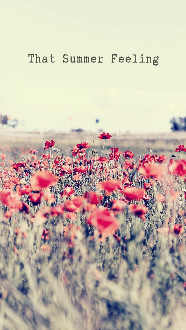 Summer Quotes Wallpapers Wallpaper Cave