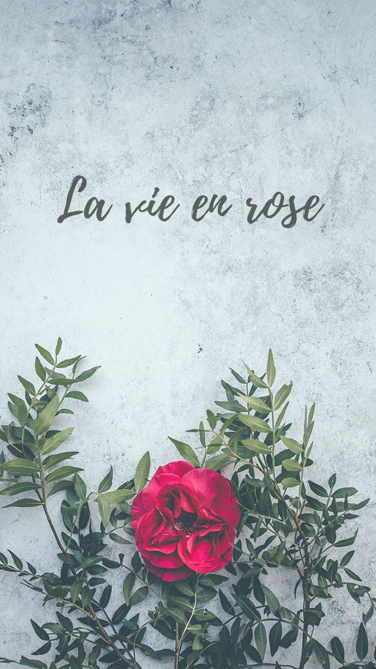 La Vie En Rose Wallpaper