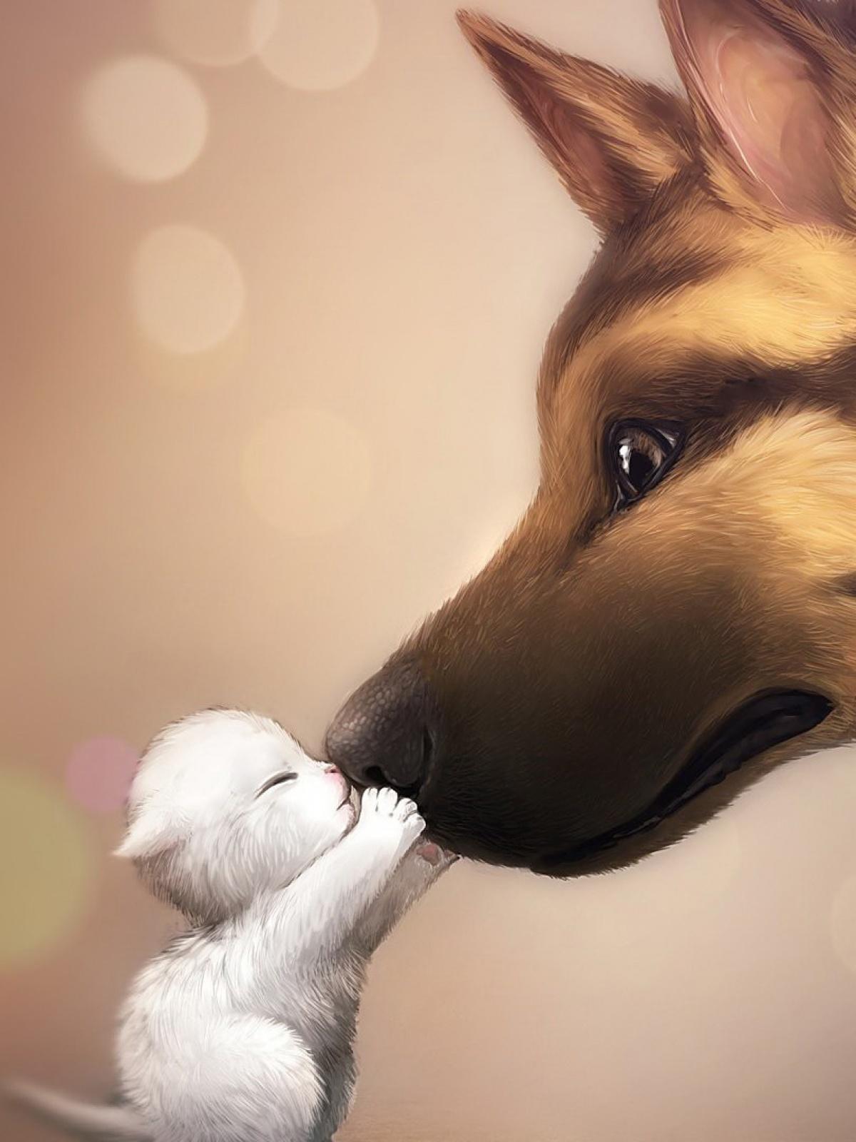 Dog Lover Wallpapers Wallpaper Cave