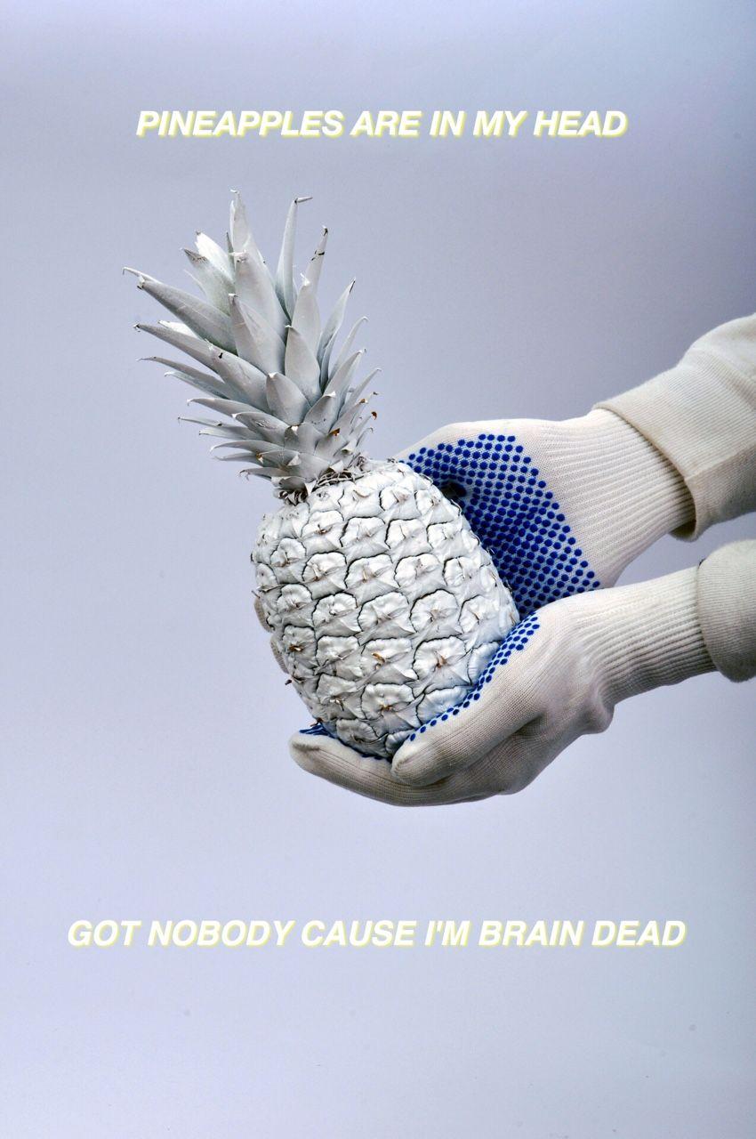 Glass Animals Wallpapers Wallpaper Cave