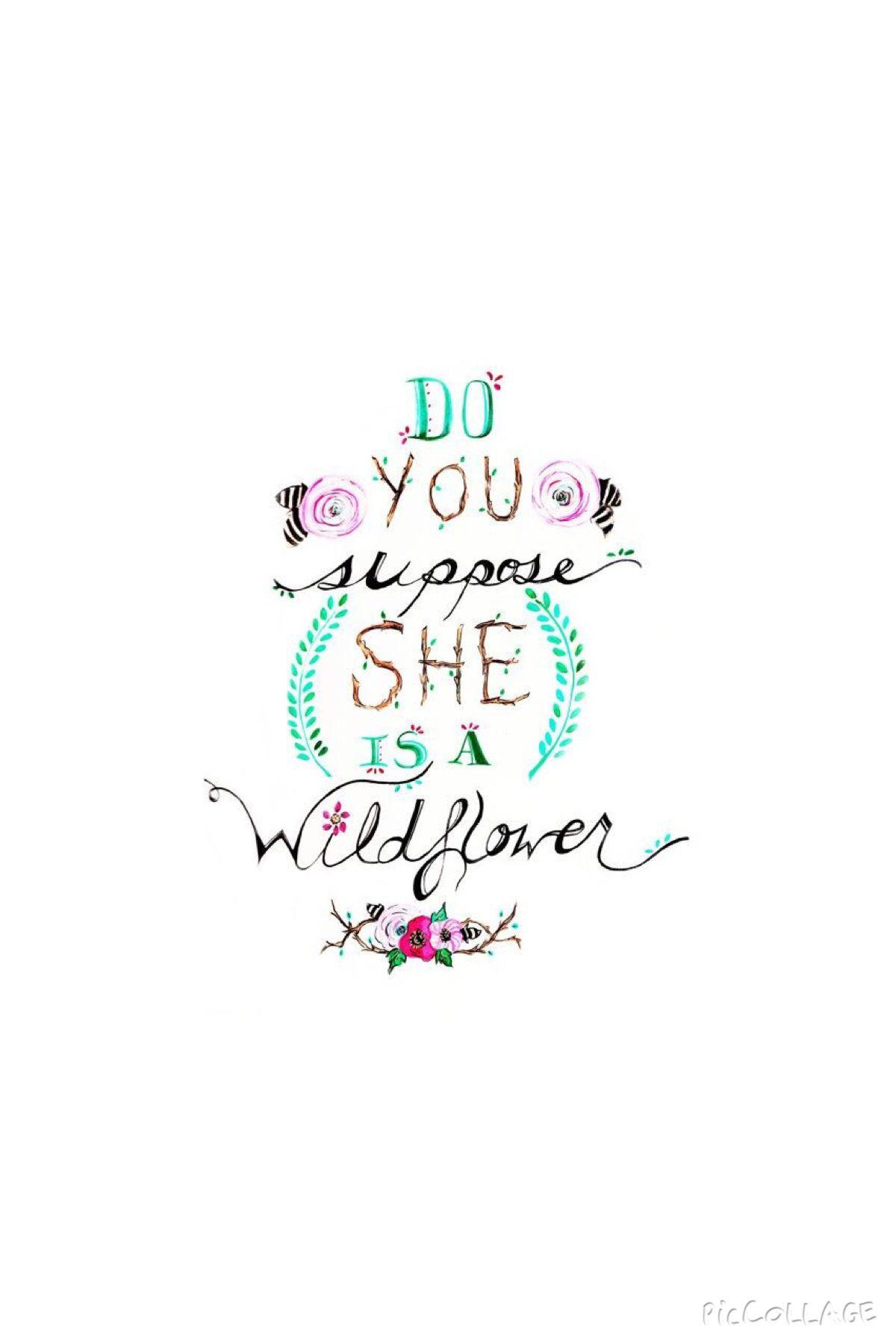 Alice In Wonderland Quotes Wallpapers Wallpaper Cave