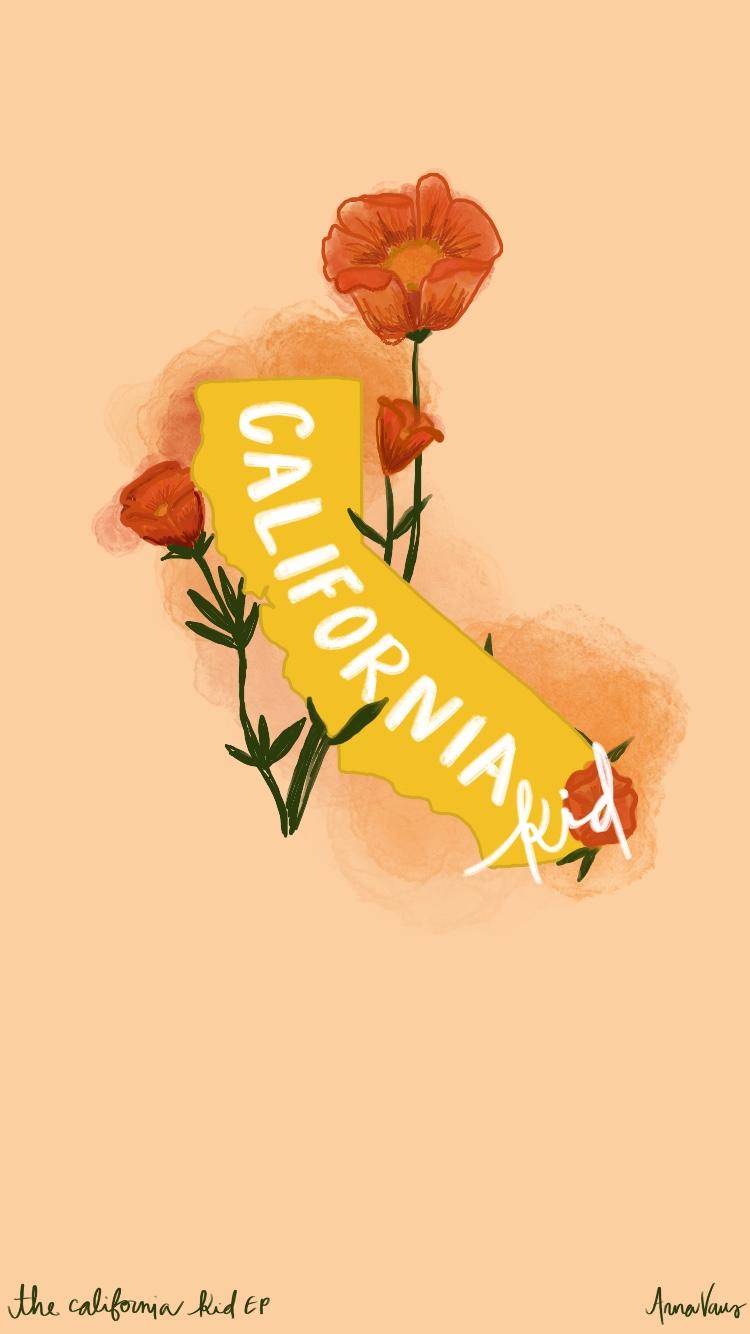 500 Vans Pictures Hd Download Free Images On Unsplash