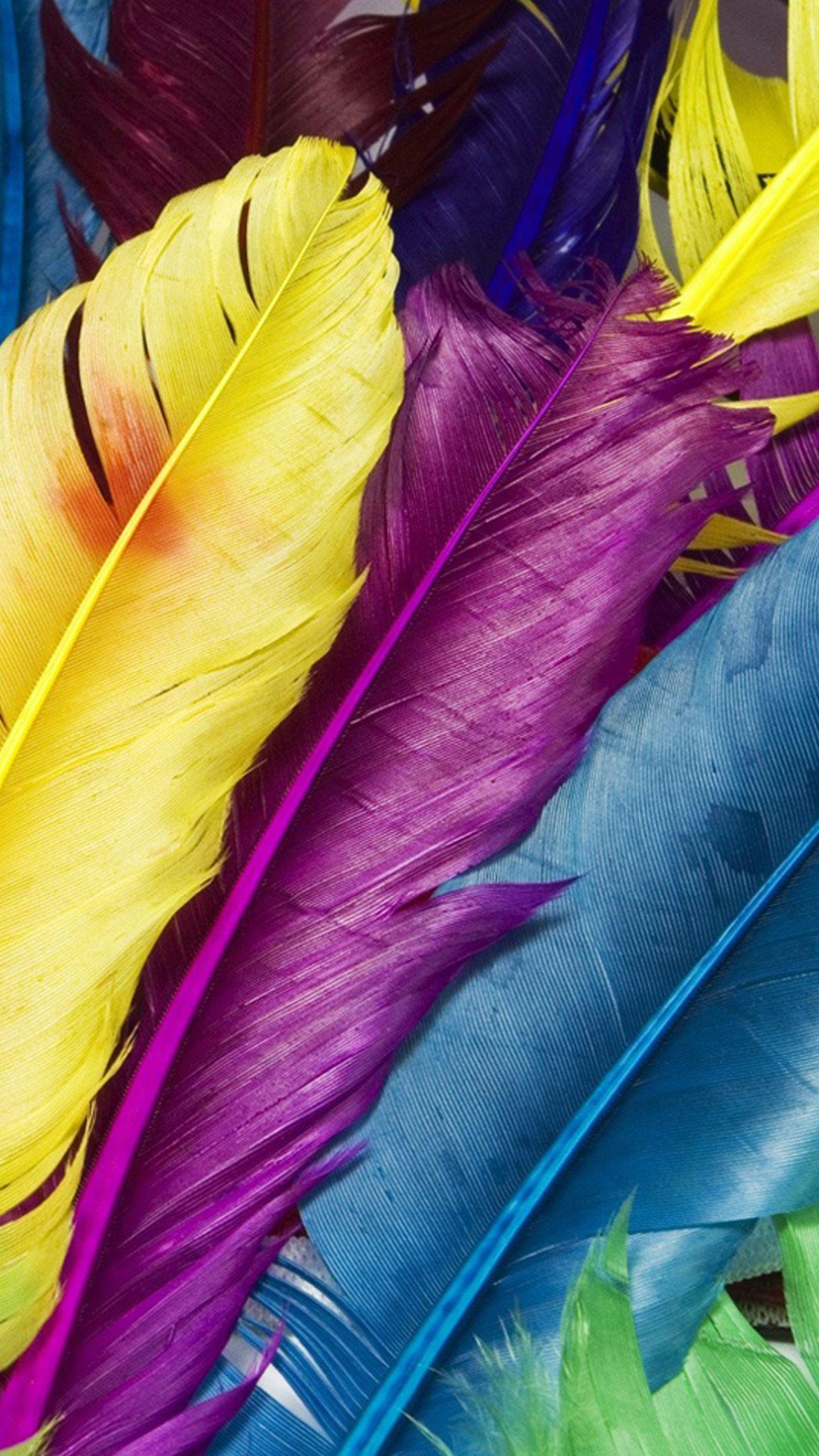 Feathers Wallpapers Wallpaper Cave