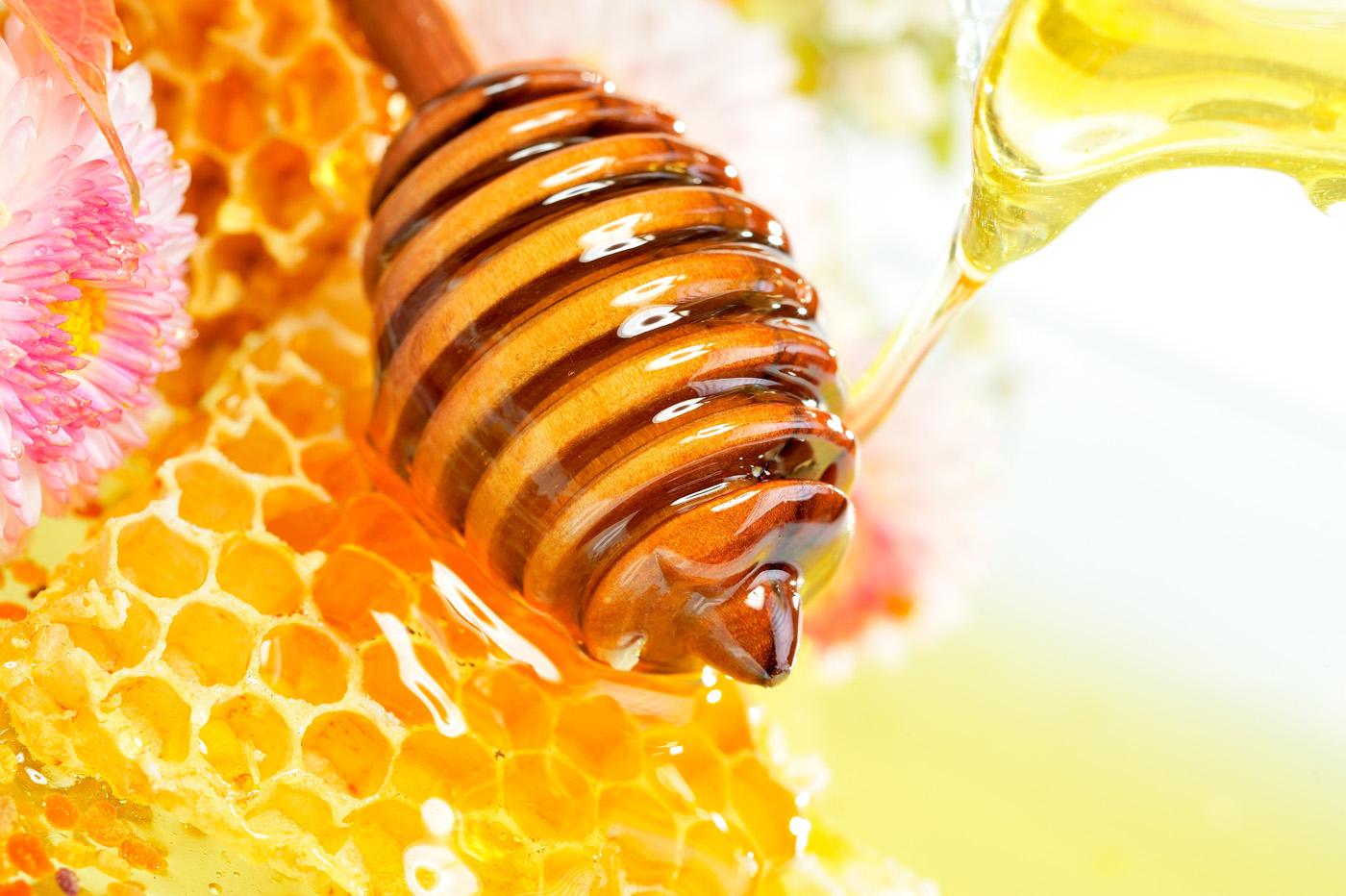 Honey Wallpapers Wallpaper Cave