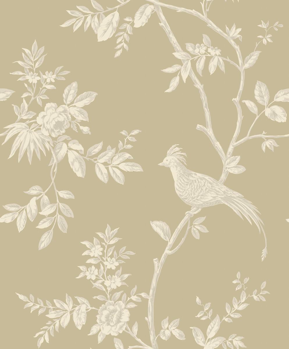 Cream Wallpapers Wallpaper Cave