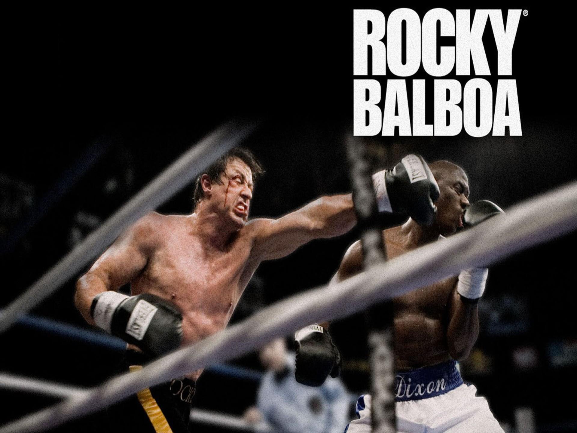 Rocky Balboa Wallpapers Wallpaper Cave