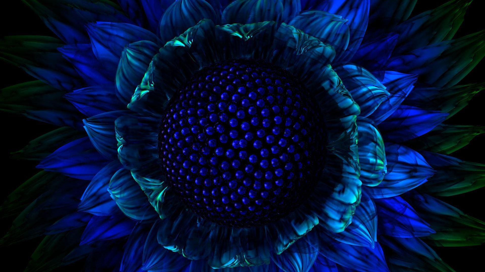 Blue Flowers Wallpapers Wallpaper Cave