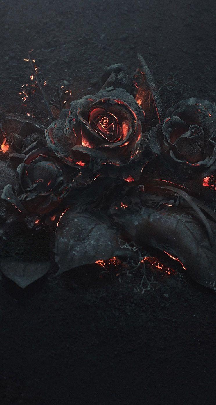 Burning Rose Wallpapers Wallpaper Cave