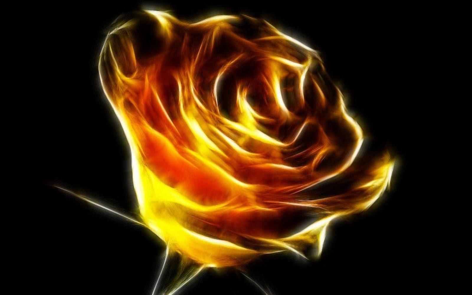 Burning Rose Wallpapers Wallpaper Cave