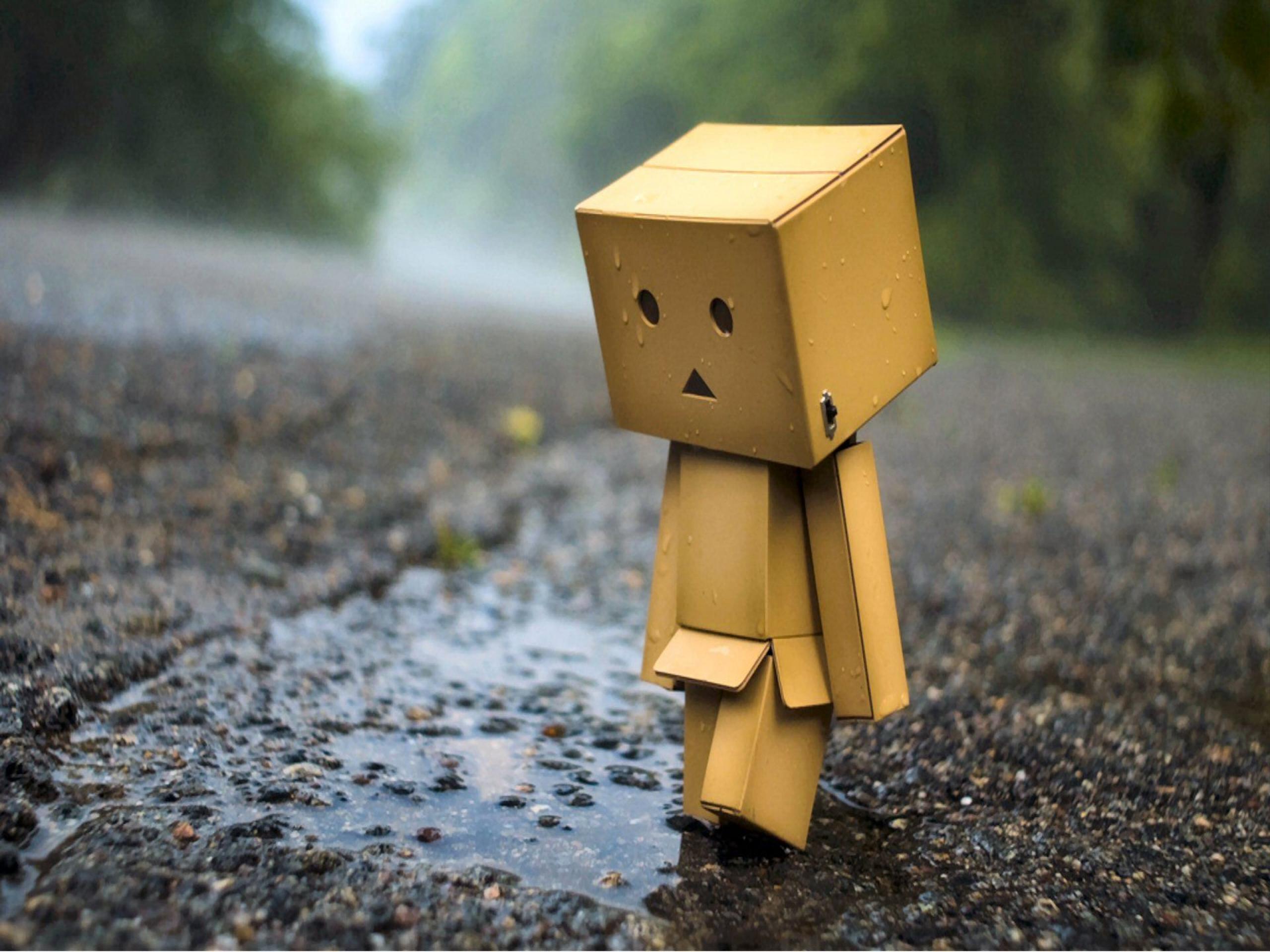 Danbo Wallpapers Wallpaper Cave