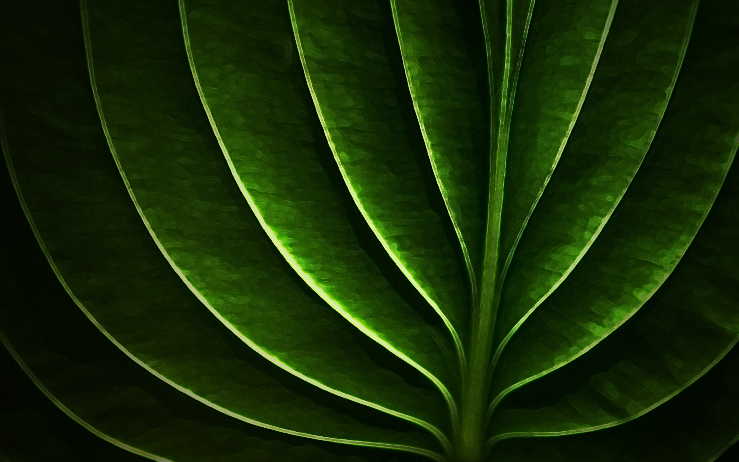 Leaf Wallpapers For Tablets MAXIPX