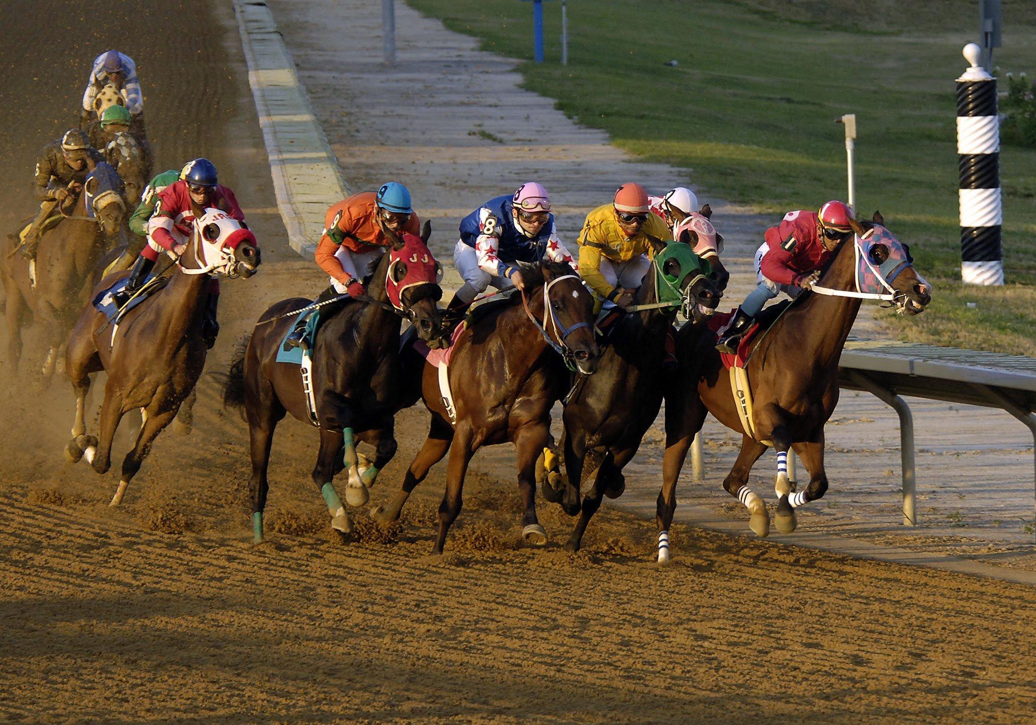 Horse Racing Wallpapers Wallpaper Cave