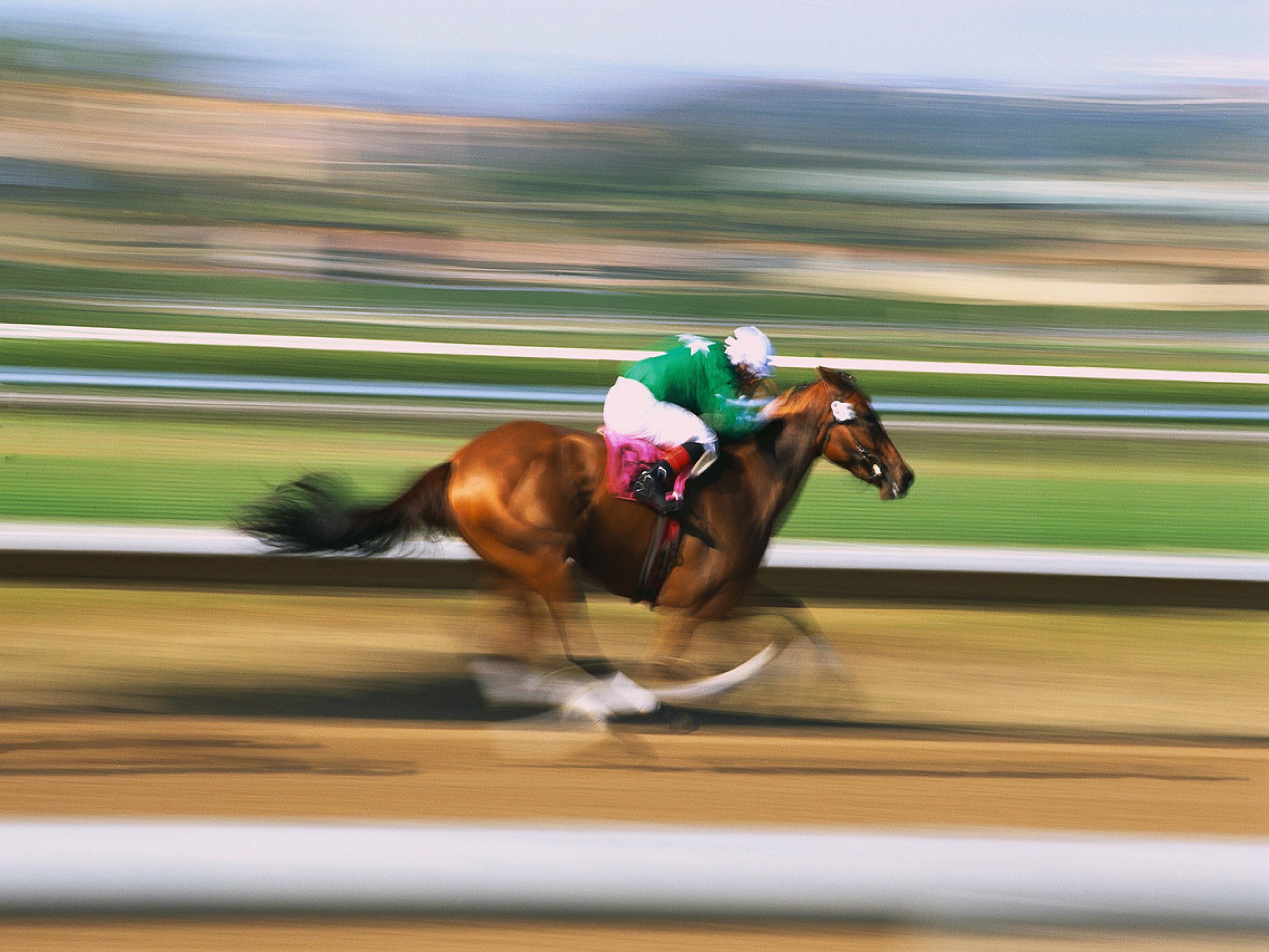 Horse Racing Wallpapers Wallpaper Cave