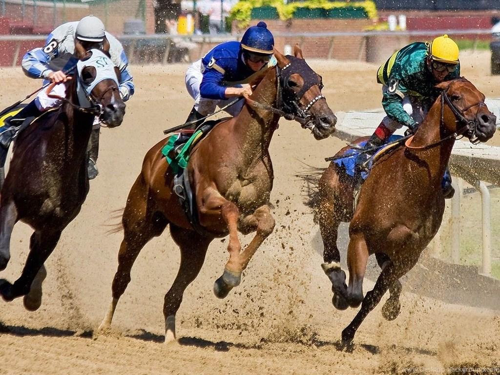 Horse Racing Wallpapers Wallpaper Cave