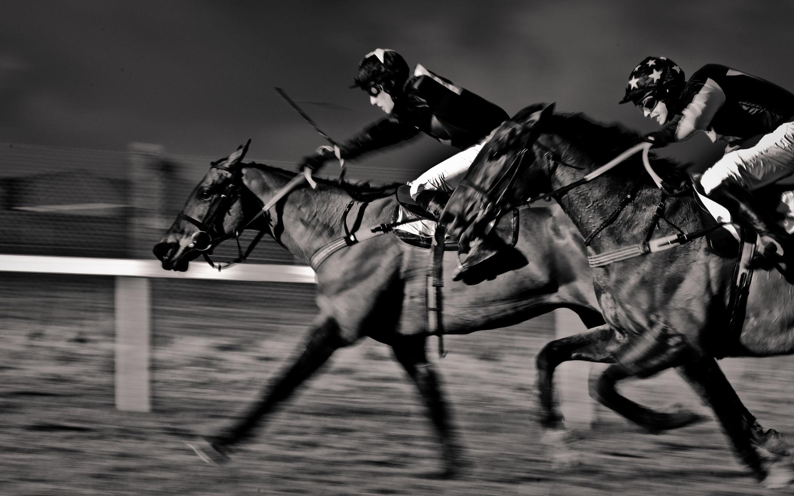 Horse Racing Wallpapers Wallpaper Cave