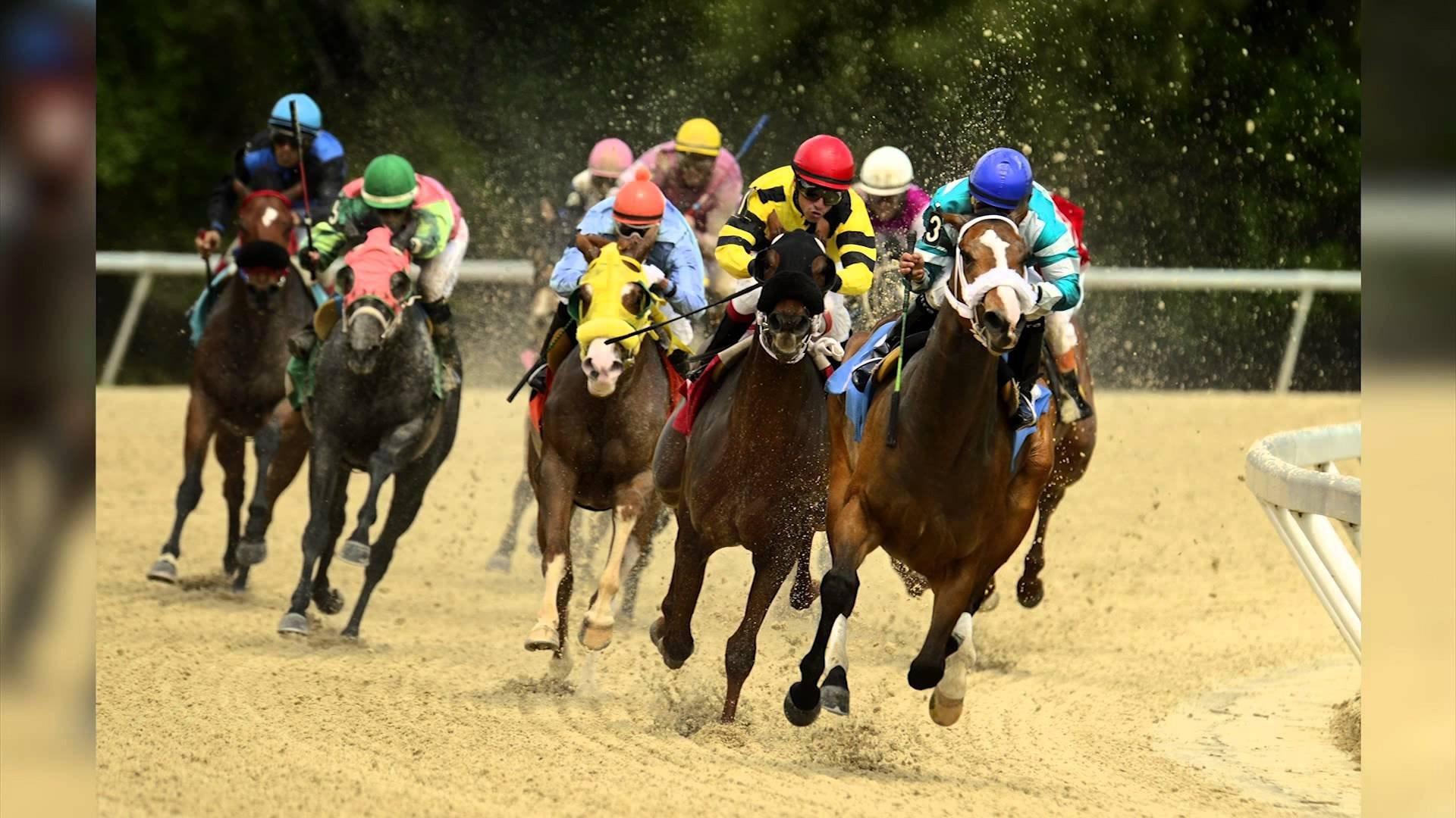 Horse Racing Wallpapers Wallpaper Cave
