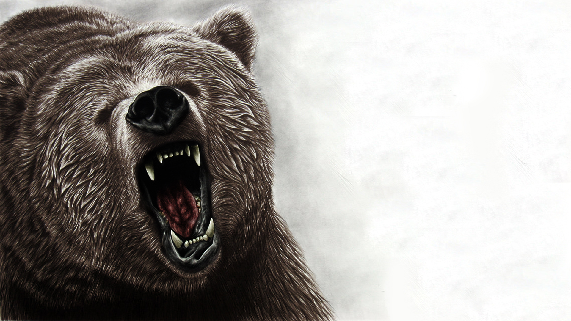 Grizzly Bear Wallpapers Wallpaper Cave