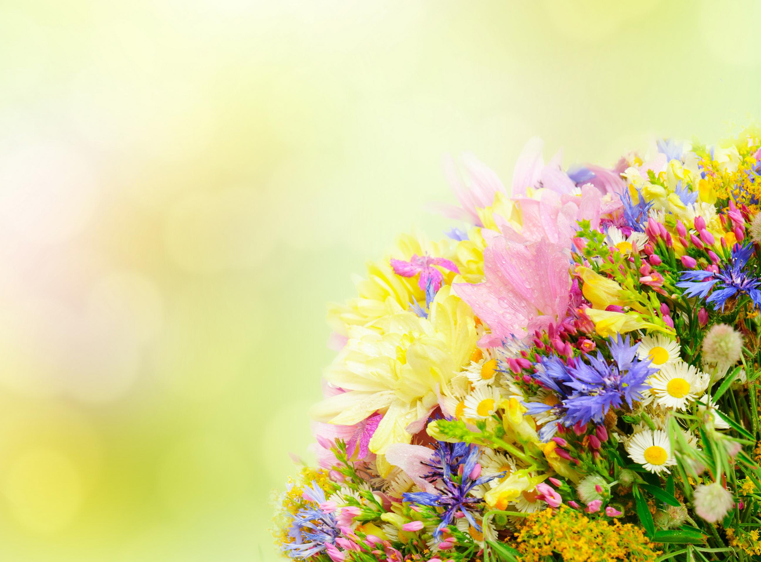 Flowers Bouquet Wallpapers Wallpaper Cave