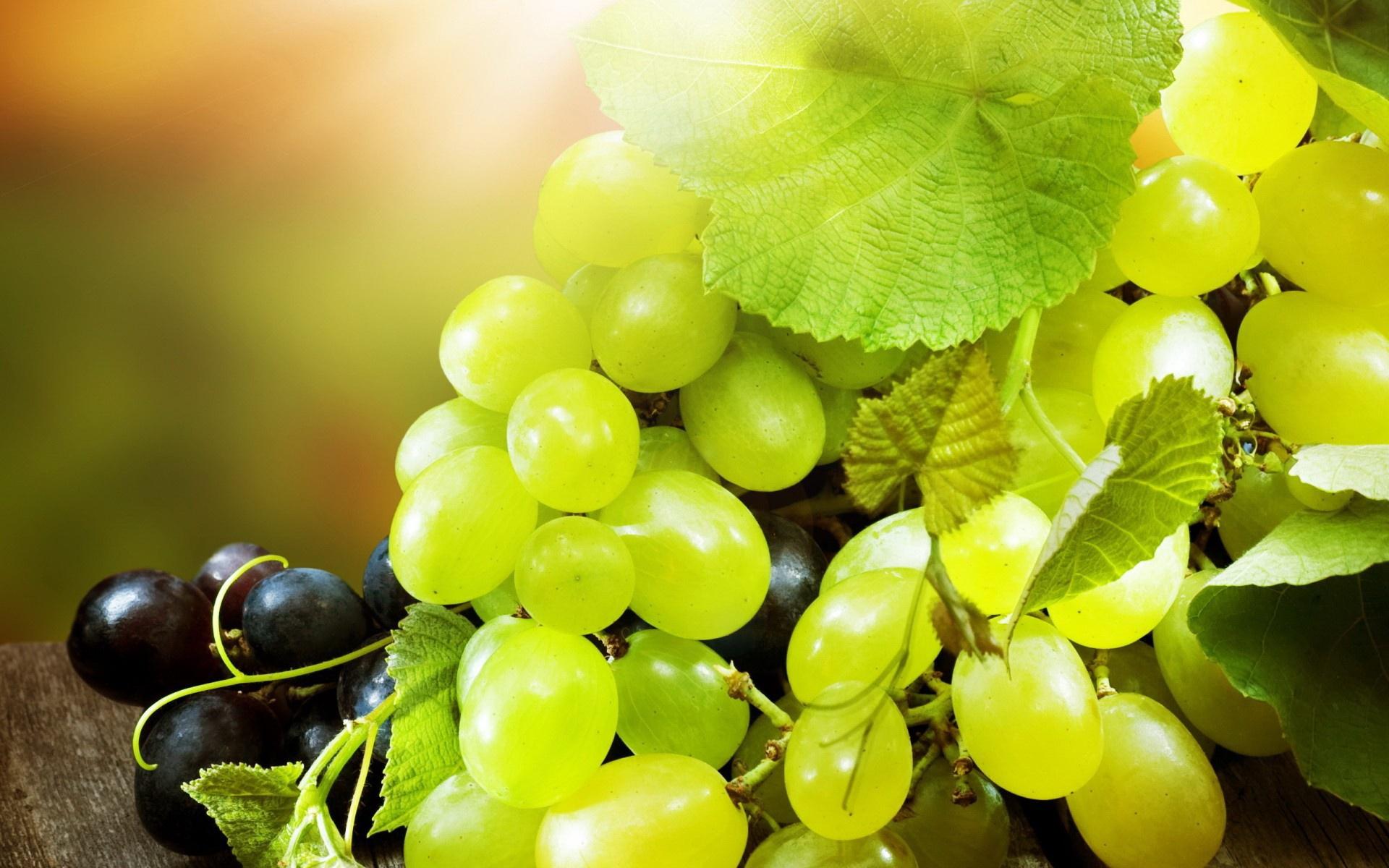 Grapes Wallpapers Wallpaper Cave