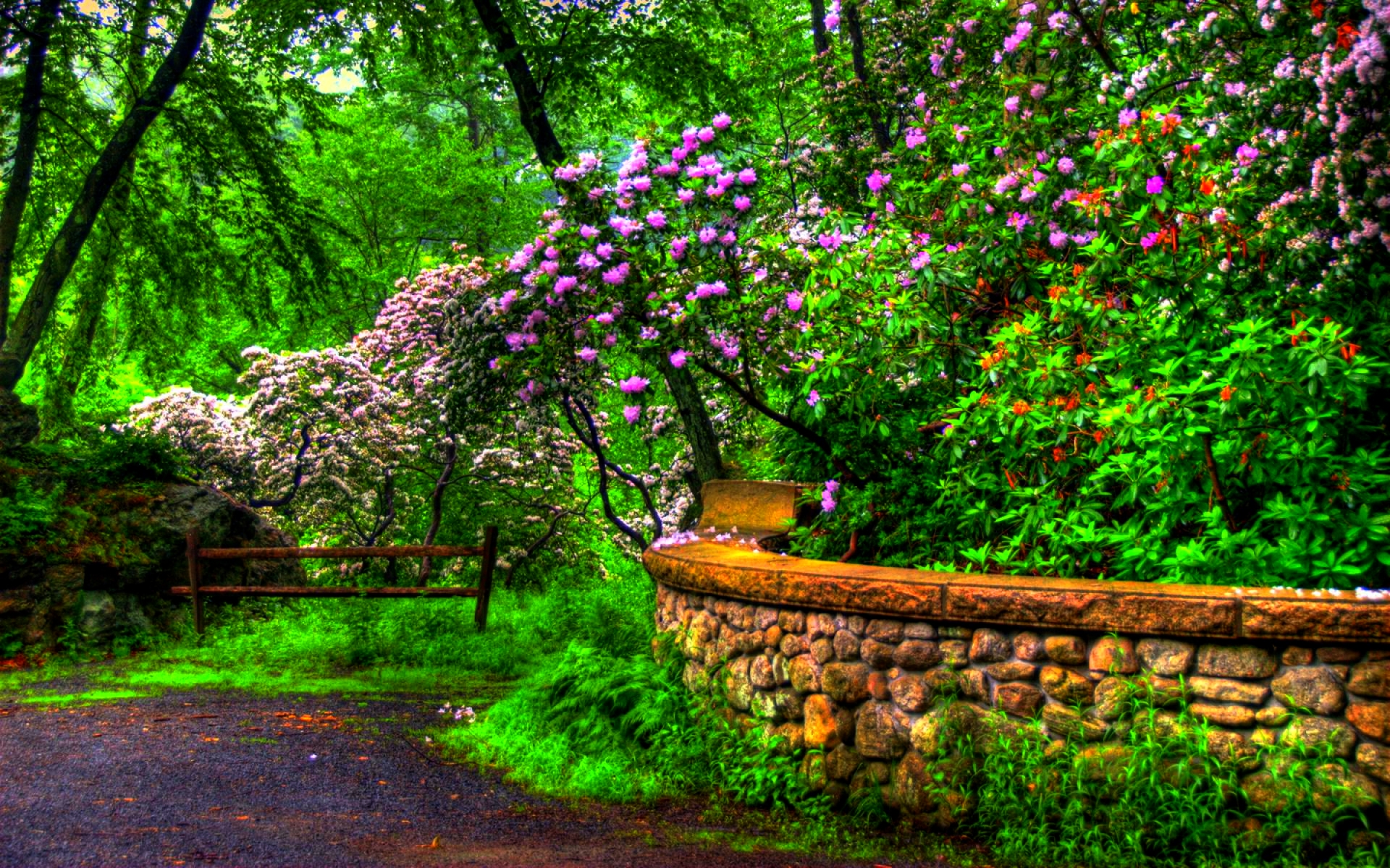 Wallpaper Taman Bunga Hd Gambar Ngetrend dan VIRAL